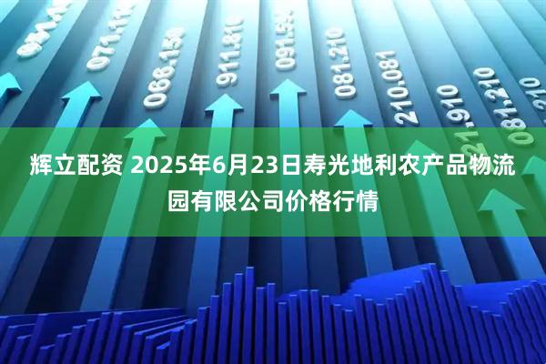 辉立配资 2025年6月23日寿光地利农产品物流园有限公司价格行情
