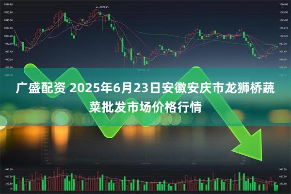 广盛配资 2025年6月23日安徽安庆市龙狮桥蔬菜批发市场价格行情