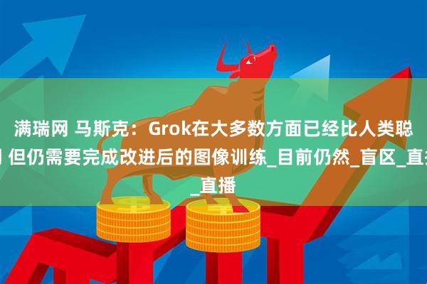 满瑞网 马斯克：Grok在大多数方面已经比人类聪明 但仍需要完成改进后的图像训练_目前仍然_盲区_直播