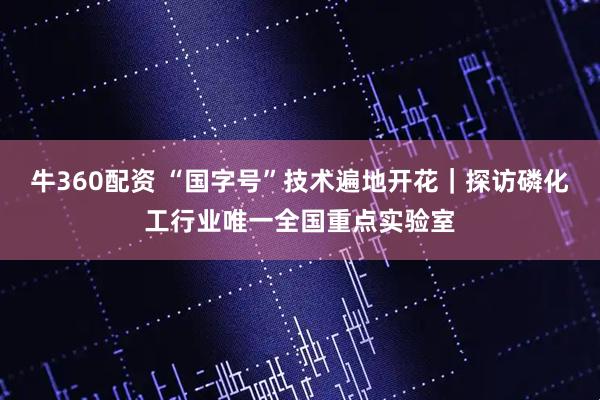 牛360配资 “国字号”技术遍地开花｜探访磷化工行业唯一全国重点实验室