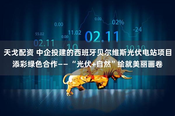 天戈配资 中企投建的西班牙贝尔维斯光伏电站项目添彩绿色合作—— “光伏+自然”绘就美丽画卷