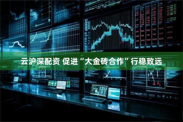 云沪深配资 促进“大金砖合作”行稳致远