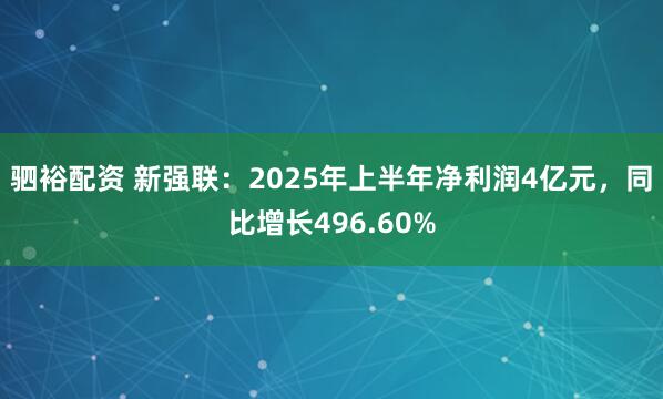 驷裕配资 新强联：2025年上半年净利润4亿元，同比增长496.60%