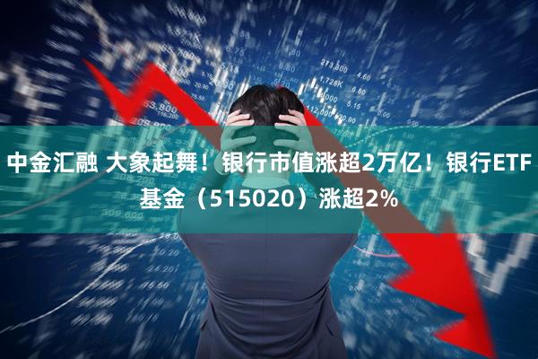中金汇融 大象起舞！银行市值涨超2万亿！银行ETF基金（515020）涨超2%