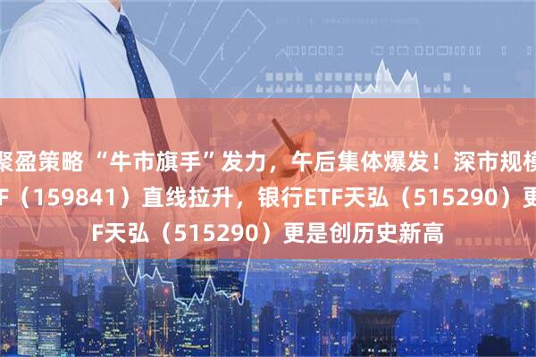 聚盈策略 “牛市旗手”发力，午后集体爆发！深市规模最大的证券ETF（159841）直线拉升，银行ETF天弘（515290）更是创历史新高