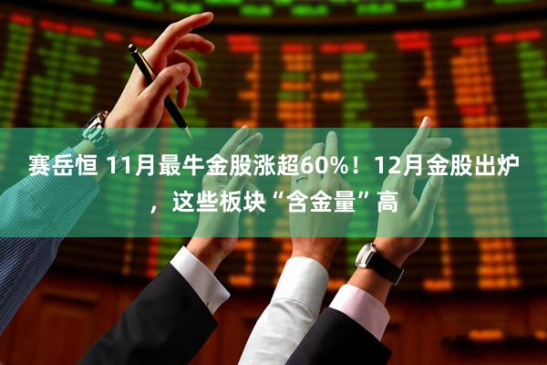赛岳恒 11月最牛金股涨超60%！12月金股出炉，这些板块“含金量”高