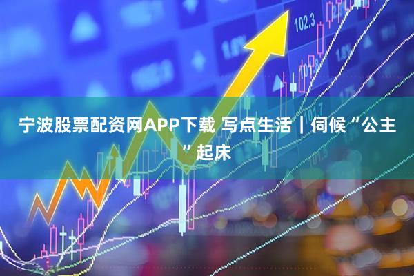 宁波股票配资网APP下载 写点生活｜伺候“公主”起床